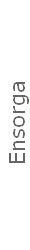 Ensorga